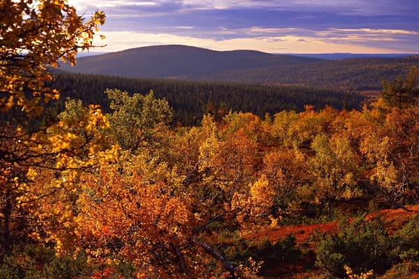 Lapland Hotels Ylläskaltio (Kittilä)